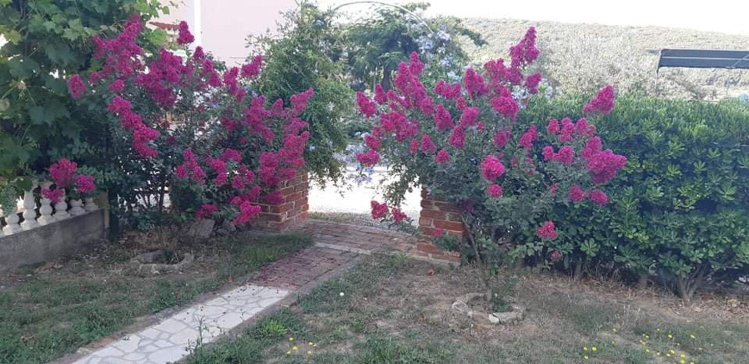 Apartments Robi- Swimming Pool And Beautiful Garden Kampor Exterior foto