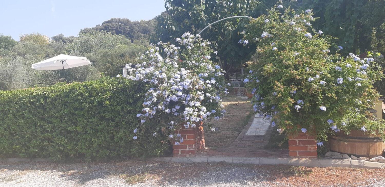 Apartments Robi- Swimming Pool And Beautiful Garden Kampor Exterior foto